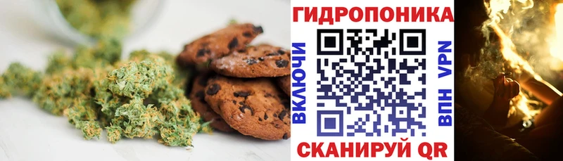 Canna-Cookies конопля  Нижнеудинск 