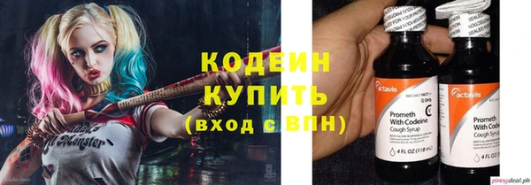 индика Сатка