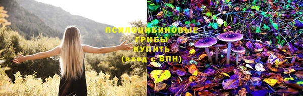 a pvp Балабаново